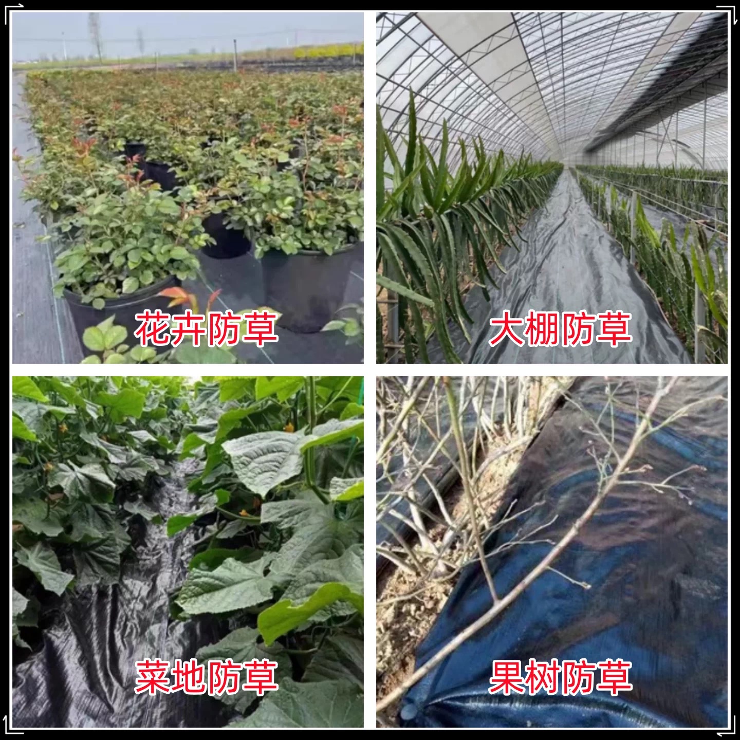 沧州市黑白养殖膜防草布 - 哪里好