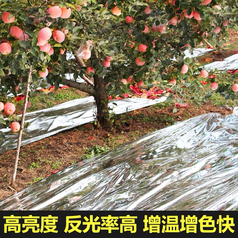 沧州市塑料薄膜果树反光膜 - 厂家